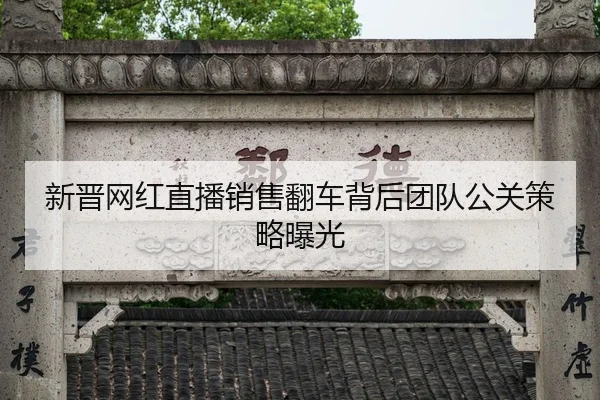 xin-jin-wang-hong-zhi-bo-xiao-shou-fan-che-bei-hou-tuan-dui-gong-guan-ce-lve-bao-guang-1-811.jpg